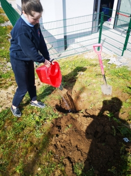 6th Class Tree Planting April 2021 (1).jpeg