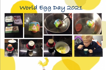 Eggs (10 Oct 2021 at 13_08).jpg