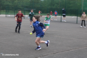 IMG_7376.jpg